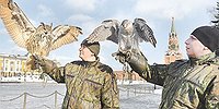 Кремлёвские ястребы